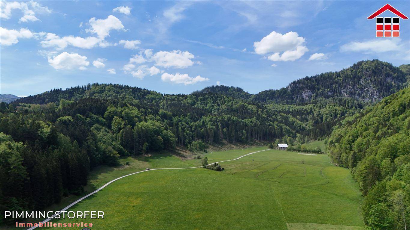 Idyllische Naturlandschaft mit weiten Wiesen, dichten Wäldern und einem kleinen Haus in der Ferne.