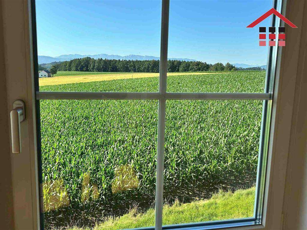 Weitblick aus dem Fenster über grüne Felder und Wälder bis zu den Bergen.