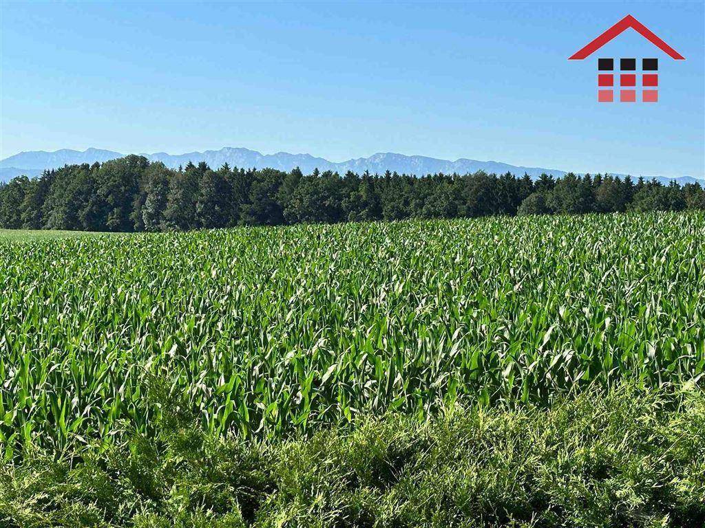 Weite Landschaft mit grünen Feldern, Wäldern und einer Bergkette am Horizont.