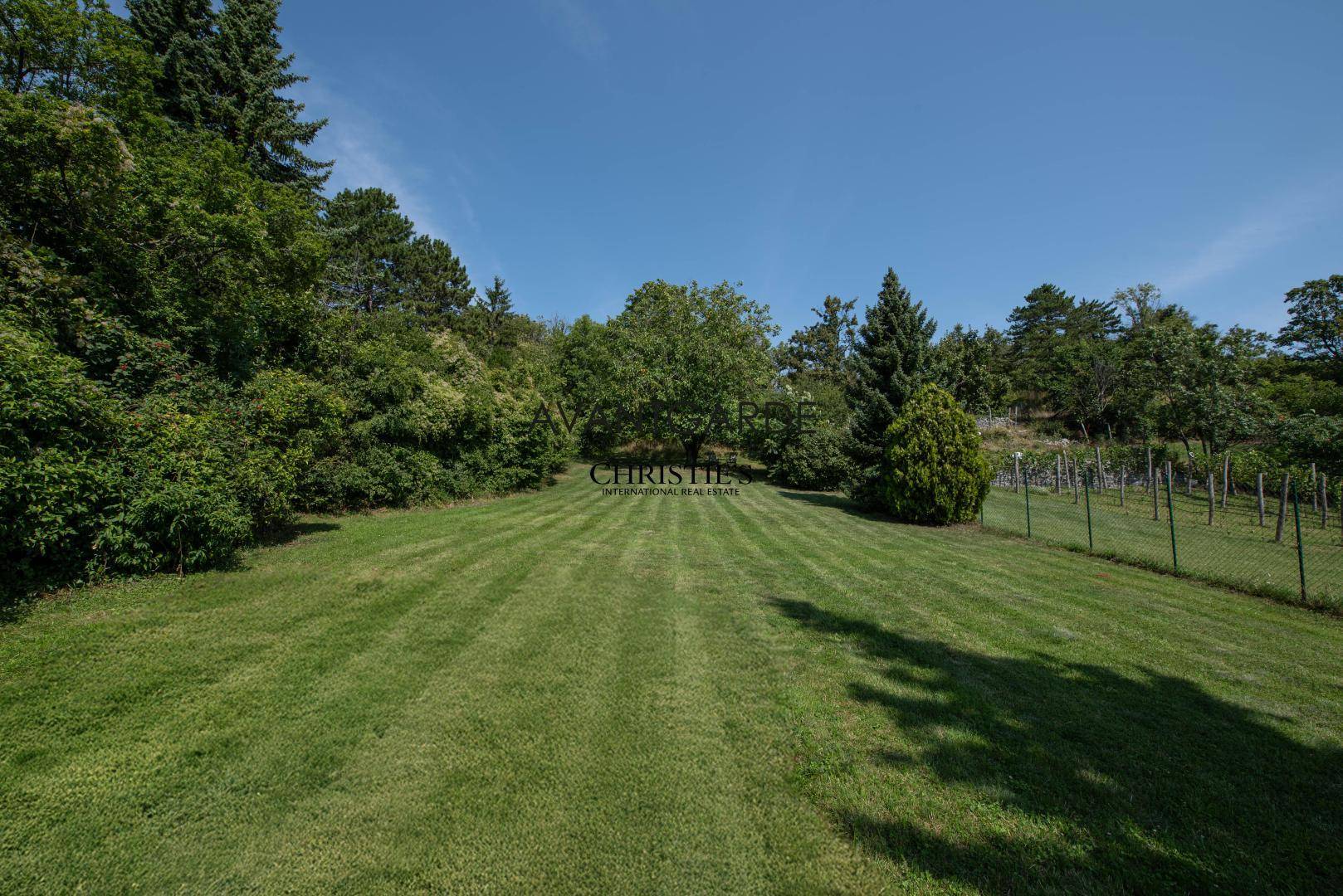 DSC_5656_web+