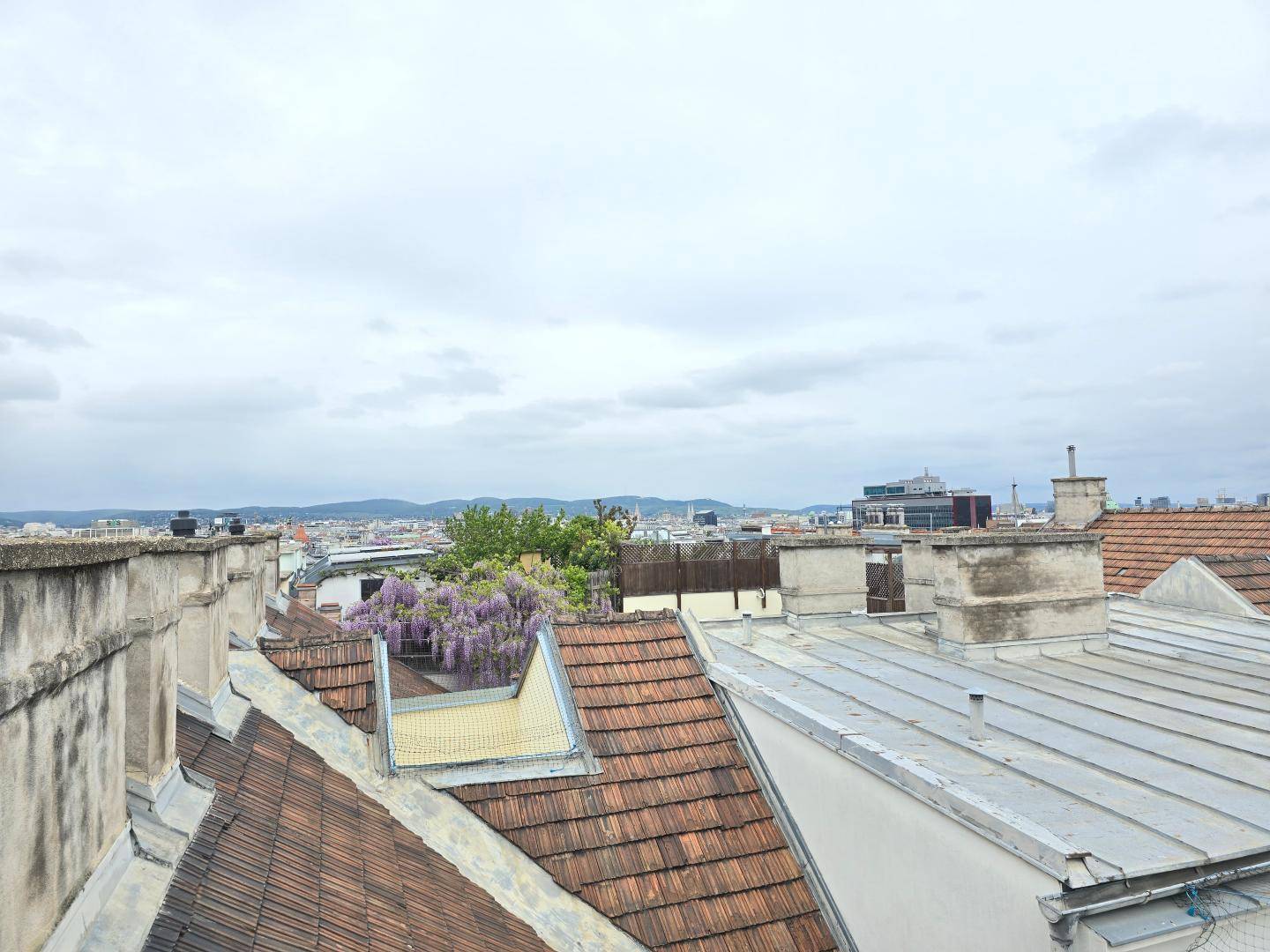 Blechturmgasse Top 27 Terrasse b