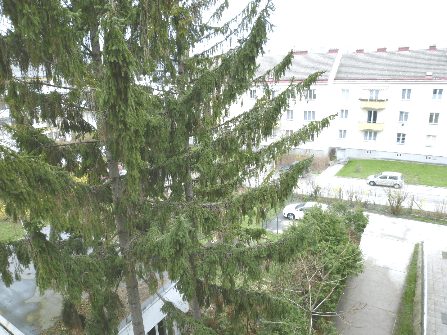 Frimbergergasse Obj.3281 i