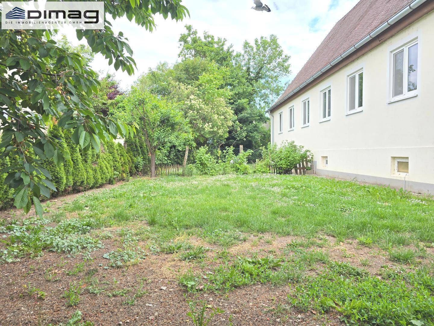Wohnen im Schlosspark Ambiente - Stilvolle, sehr sonnige Gartenwohnung mit Terrasse in der Schlossanlage in Schwadorf - Ansicht 5