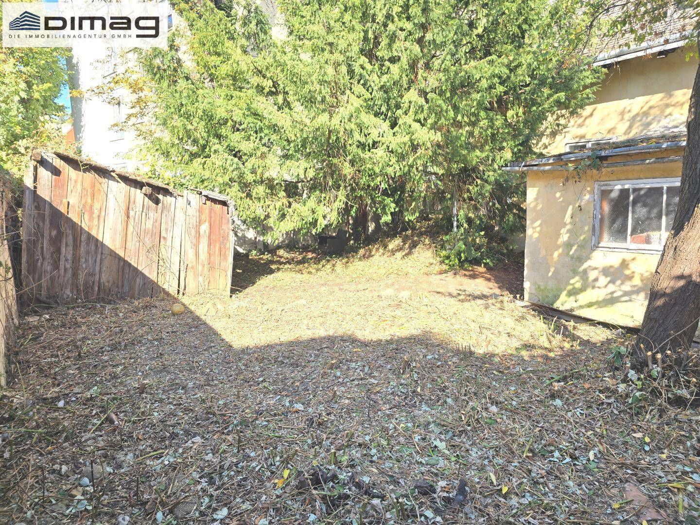 Verwilderter Gartenbereich mit altem Holzschuppen und Bäumen, der Pflege benötigt.