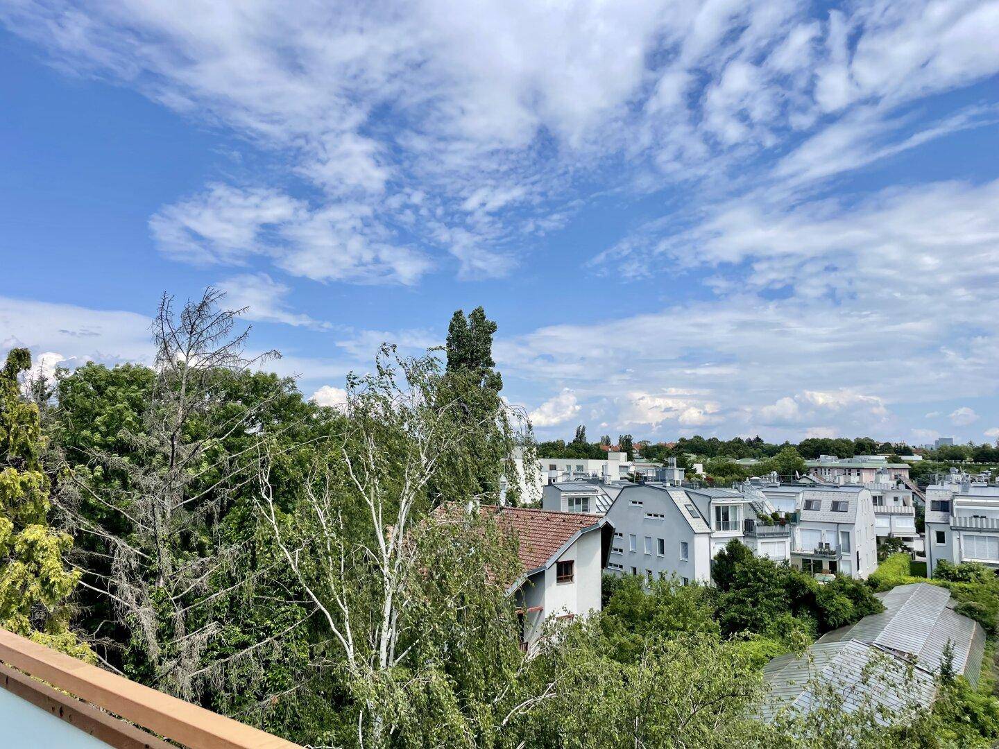 Aussicht Terrasse Ost