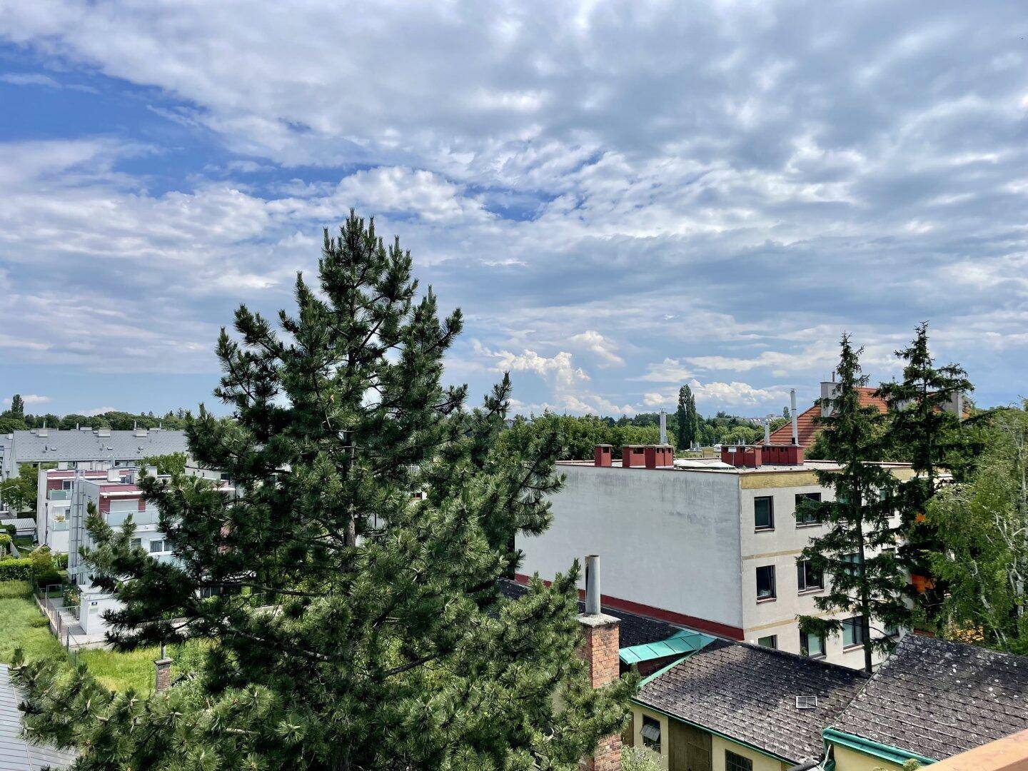 Aussicht Terrasse Ost