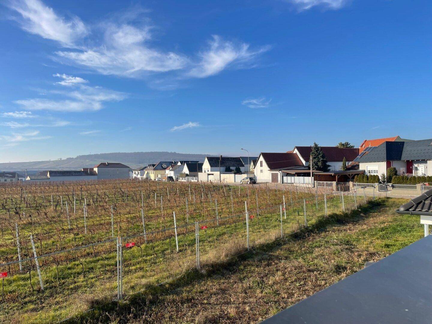 Blick vom Balkon