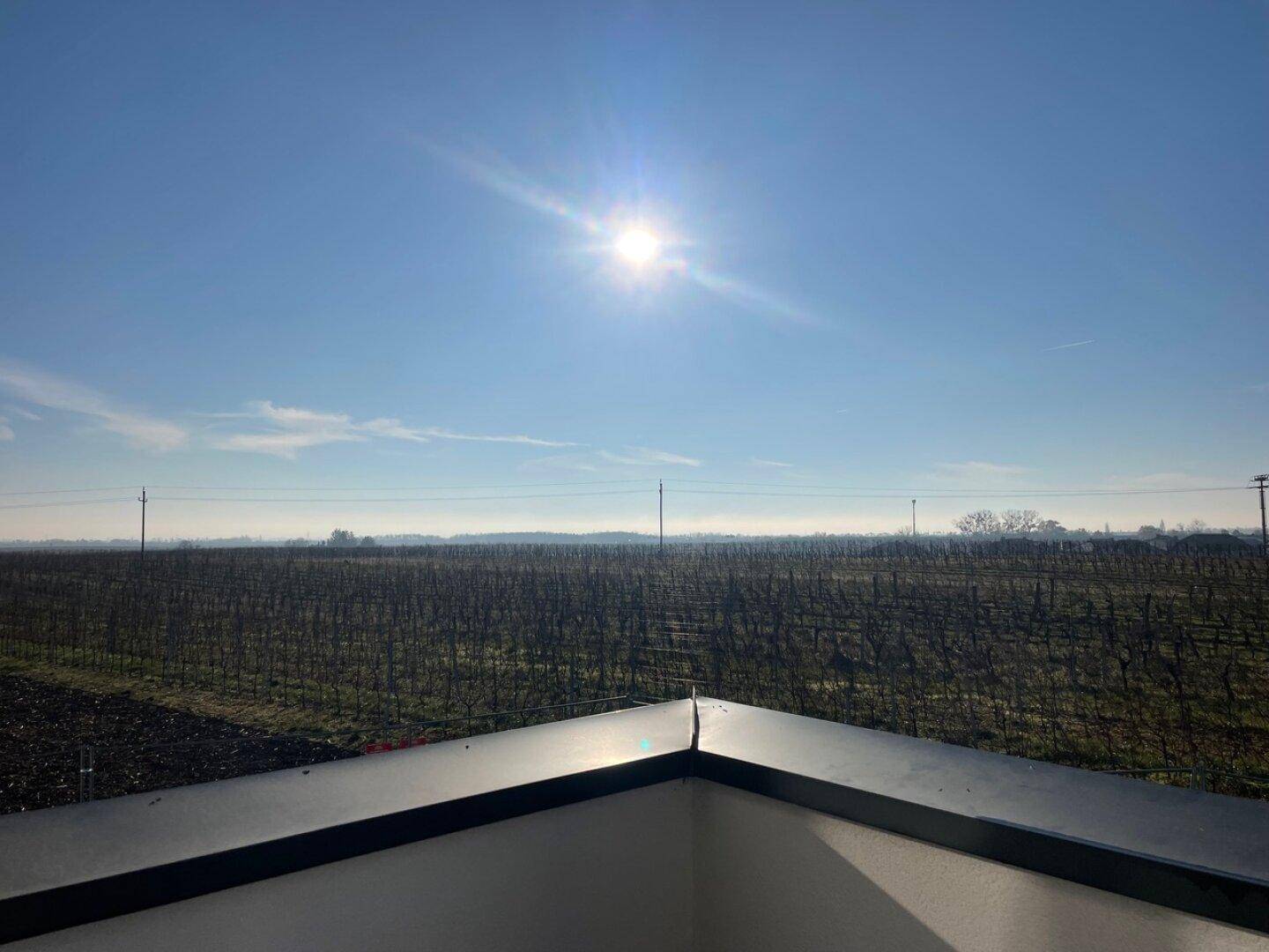 Blick vom Balkon in die Weingärten