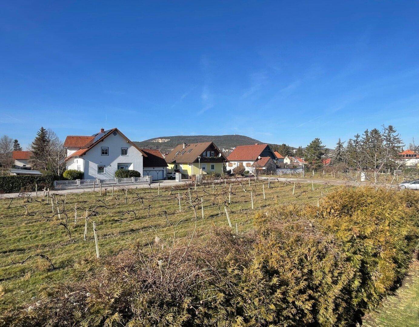 Ausblick vom Balkon