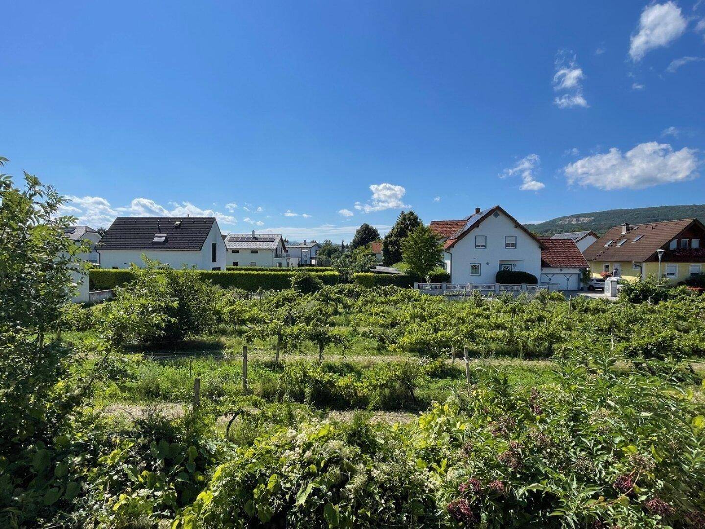Blick von Terrasse