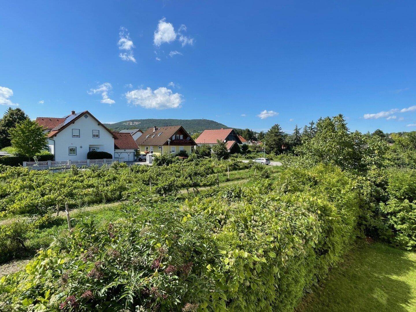 Blick von Terrasse