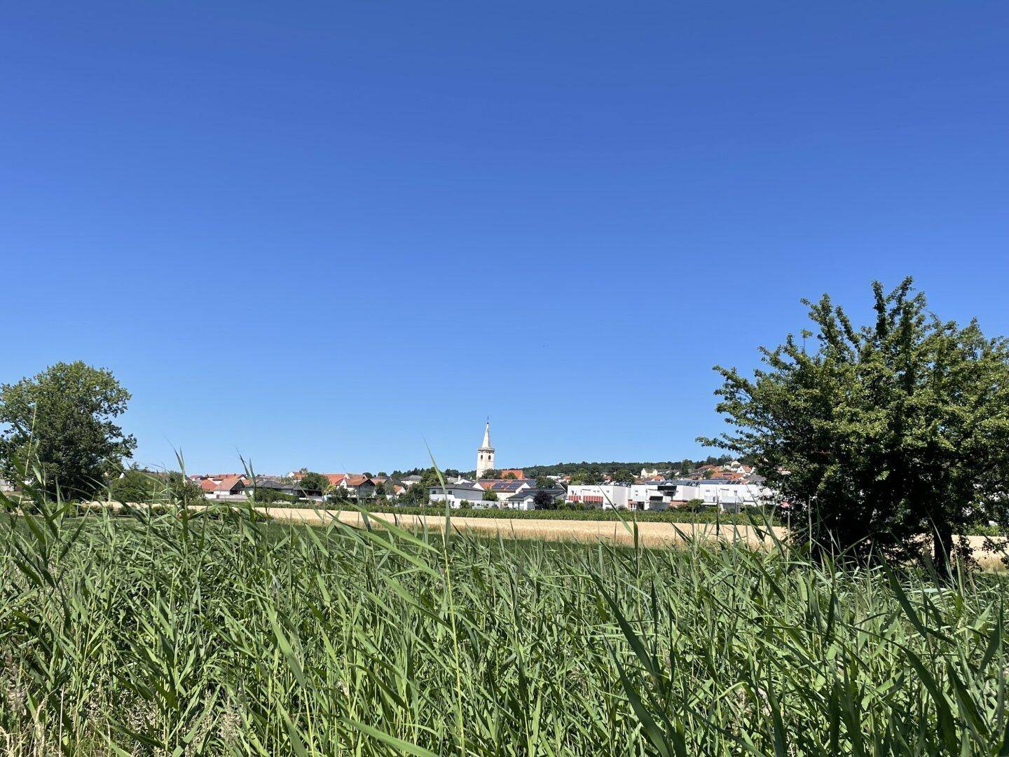 Weitläufige Landschaft mit grünen Feldern und einem Dorf mit Kirchturm am Horizont unter klarem Himmel.