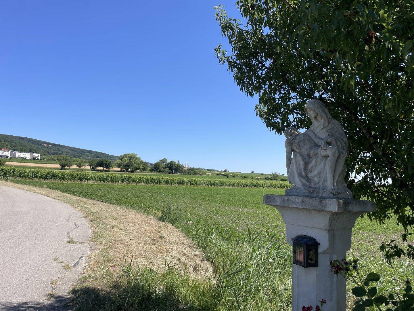 Ländliche Szene mit einer Marienstatue am Wegesrand, umgeben von grünen Feldern und Weinbergen.