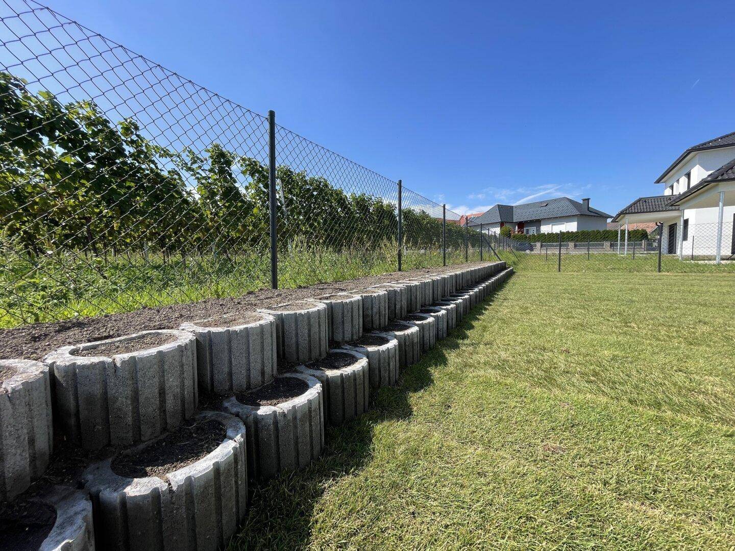 Gartenbereich mit Betonpflanzsteinen, Zaun und Blick auf einen Weinberg im Hintergrund.