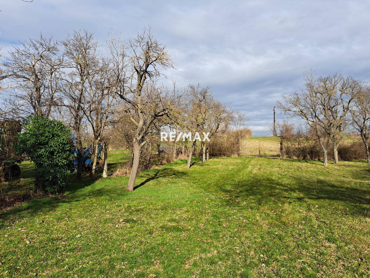 Garten mit Obstbäumen