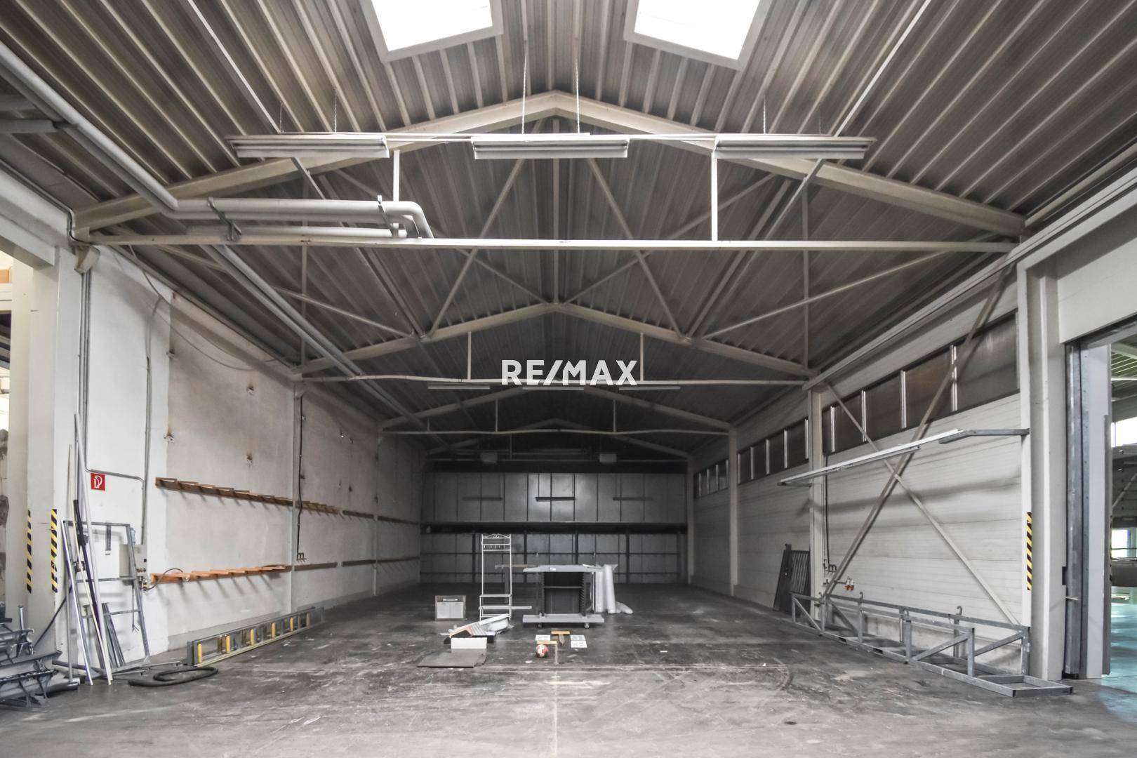 Halle3