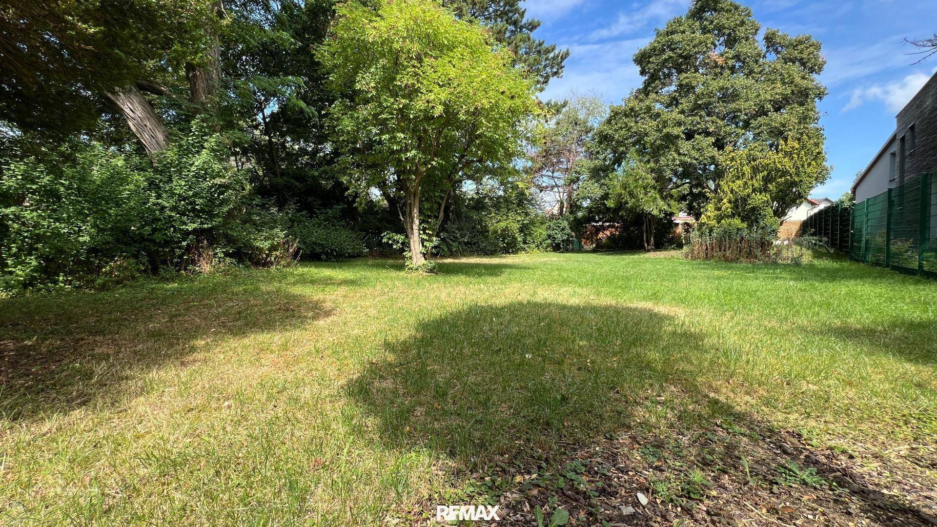 Großer, gepflegter Garten mit Rasenfläche und altem Baumbestand unter blauem Himmel.