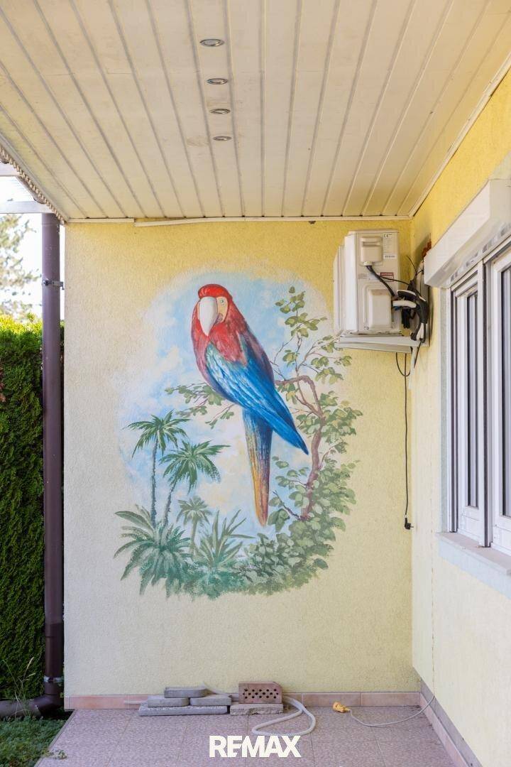 Detailansicht der Hauswand mit farbenfrohem Papageien-Wandgemälde und Klimaanlage.