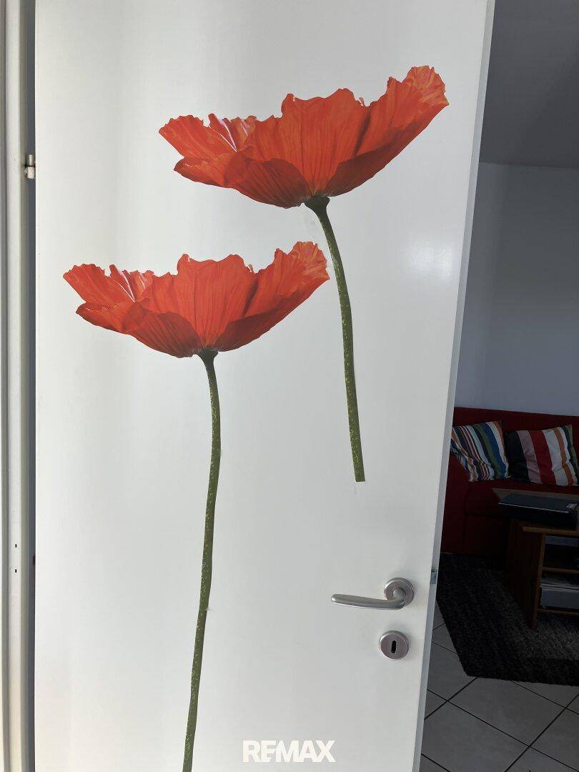 Weiße Tür mit großen roten Mohnblumen-Aufklebern, im Hintergrund ein Wohnbereich.