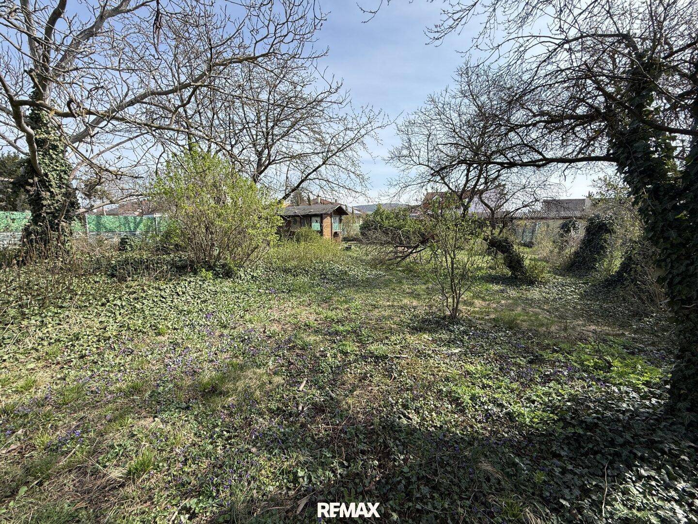 Naturbelassener Gartenbereich mit vielen Bäumen und Sträuchern, ideal für Naturliebhaber.