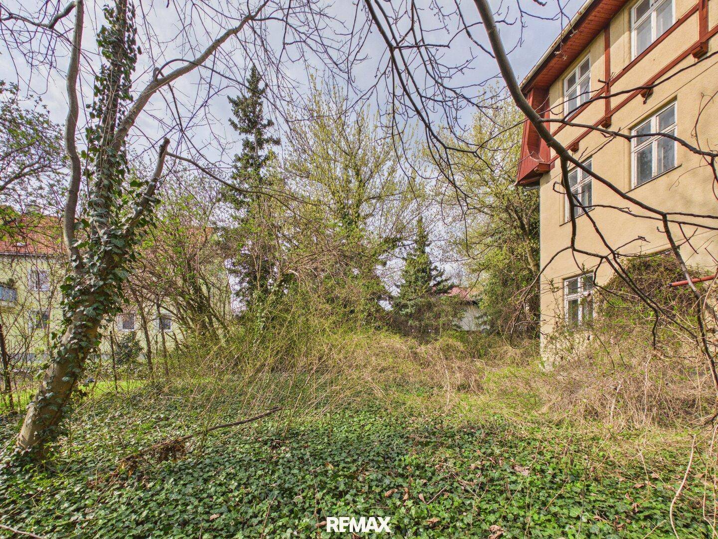 Verwilderter Gartenbereich mit üppigem Grün und altem Baumbestand neben dem Gebäude.