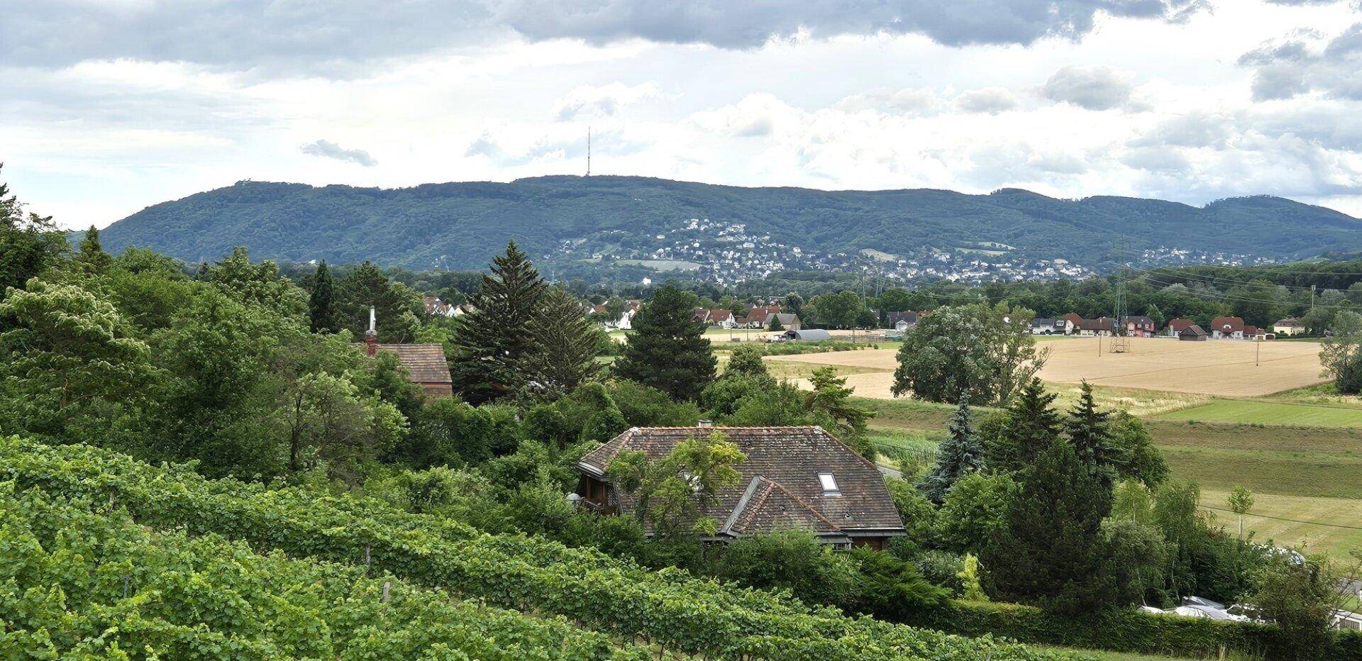 Fernblick