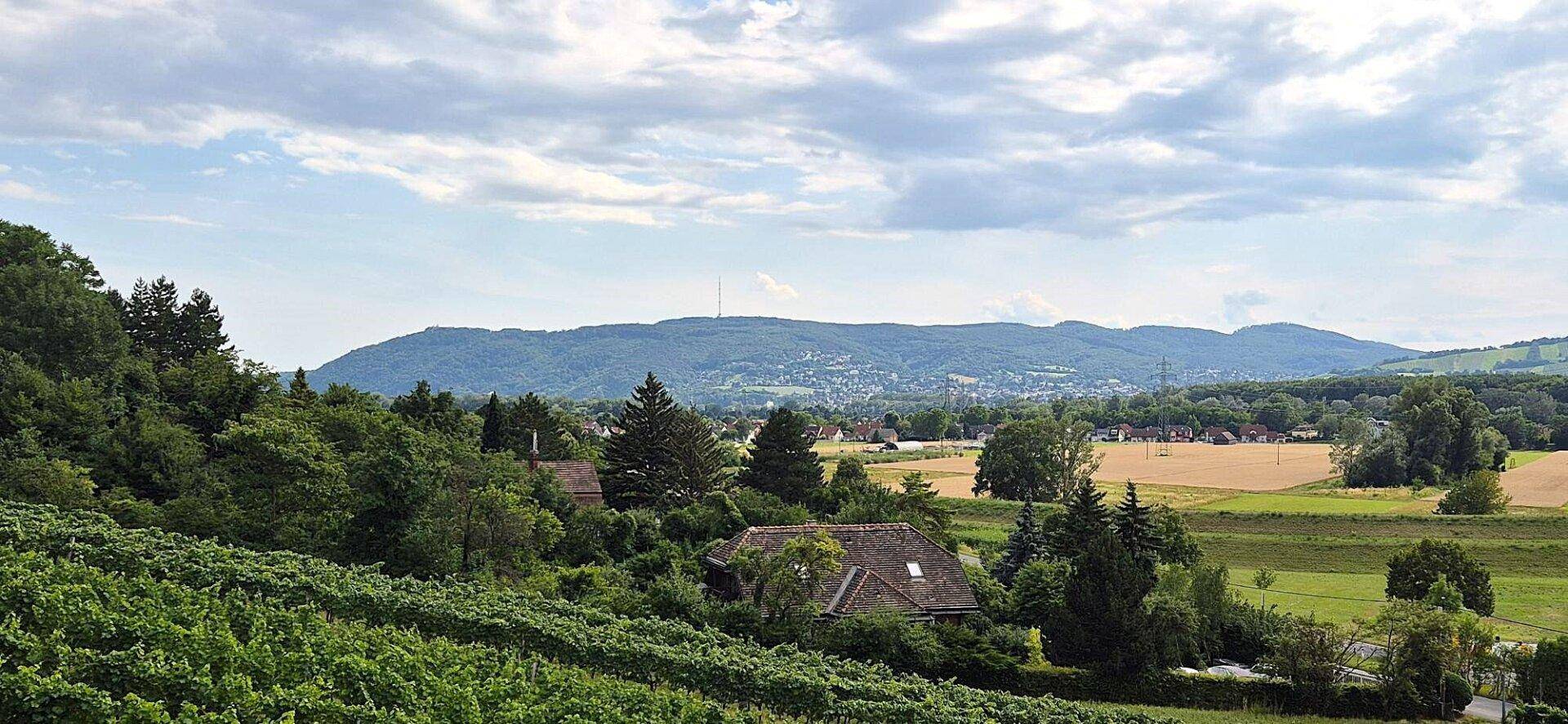 Fernblick