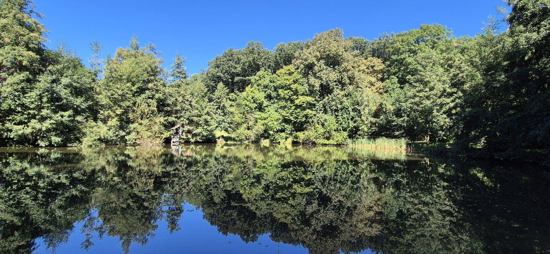 Waldteich