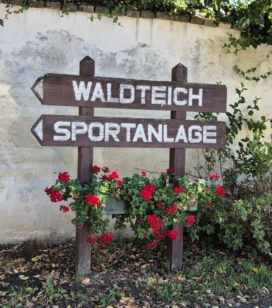 Waldteich