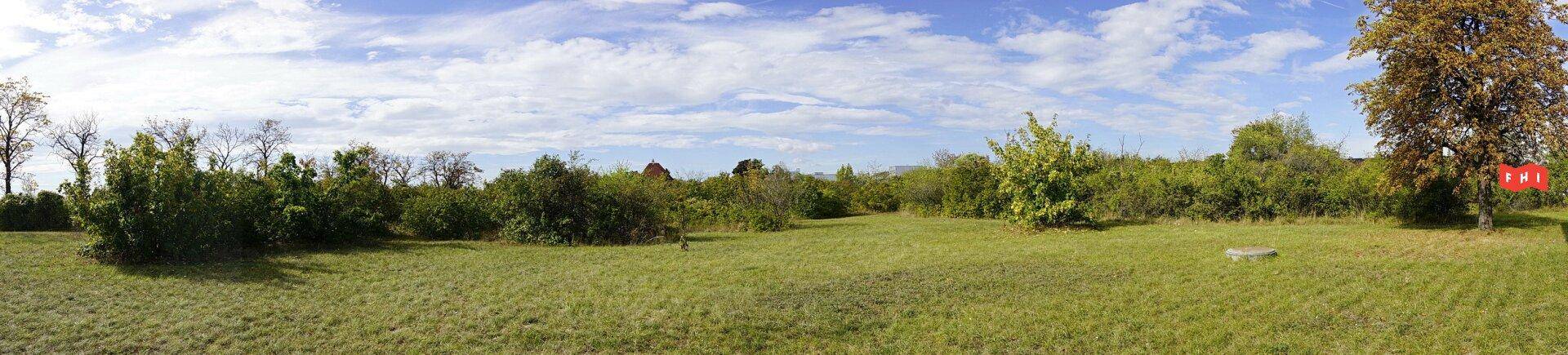 Weitläufige Panoramaansicht eines großen, grünen Grundstücks mit vereinzelten Bäumen und Büschen.