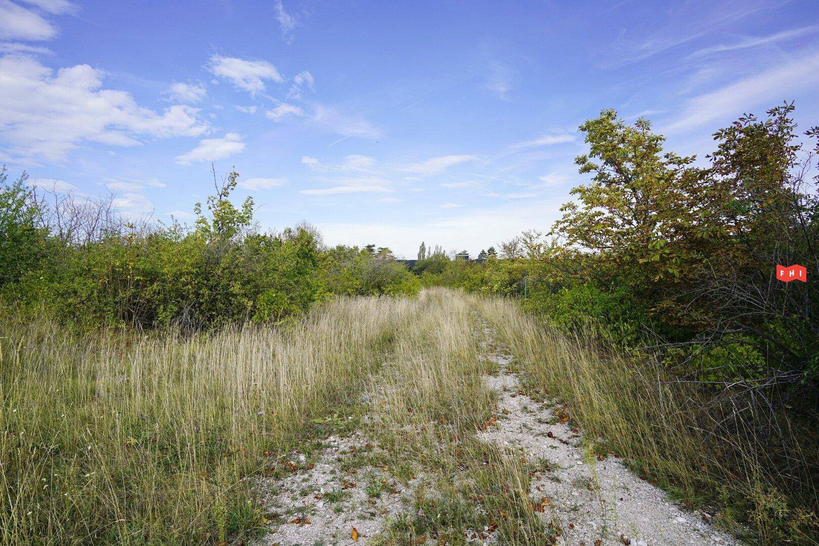 Unbefestigter Weg durch hohes Gras und Büsche auf einem weitläufigen Grundstück mit Fernsicht.