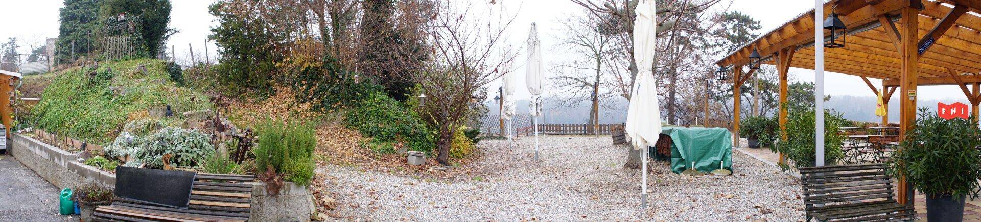 Ausgedehnter Gartenbereich mit bewaldetem Hang, Bäumen und einer überdachten Terrasse im Hintergrund.