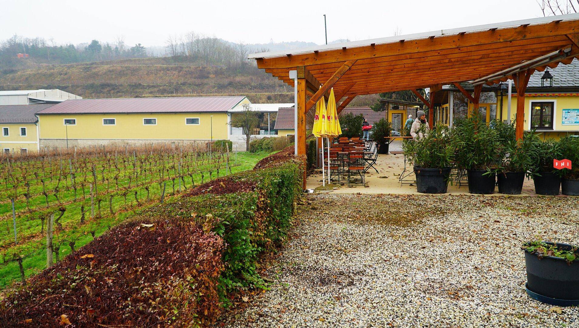 Außenbereich mit Weinberg im Vordergrund, Schotterweg und einem Gebäude mit überdachter Terrasse.
