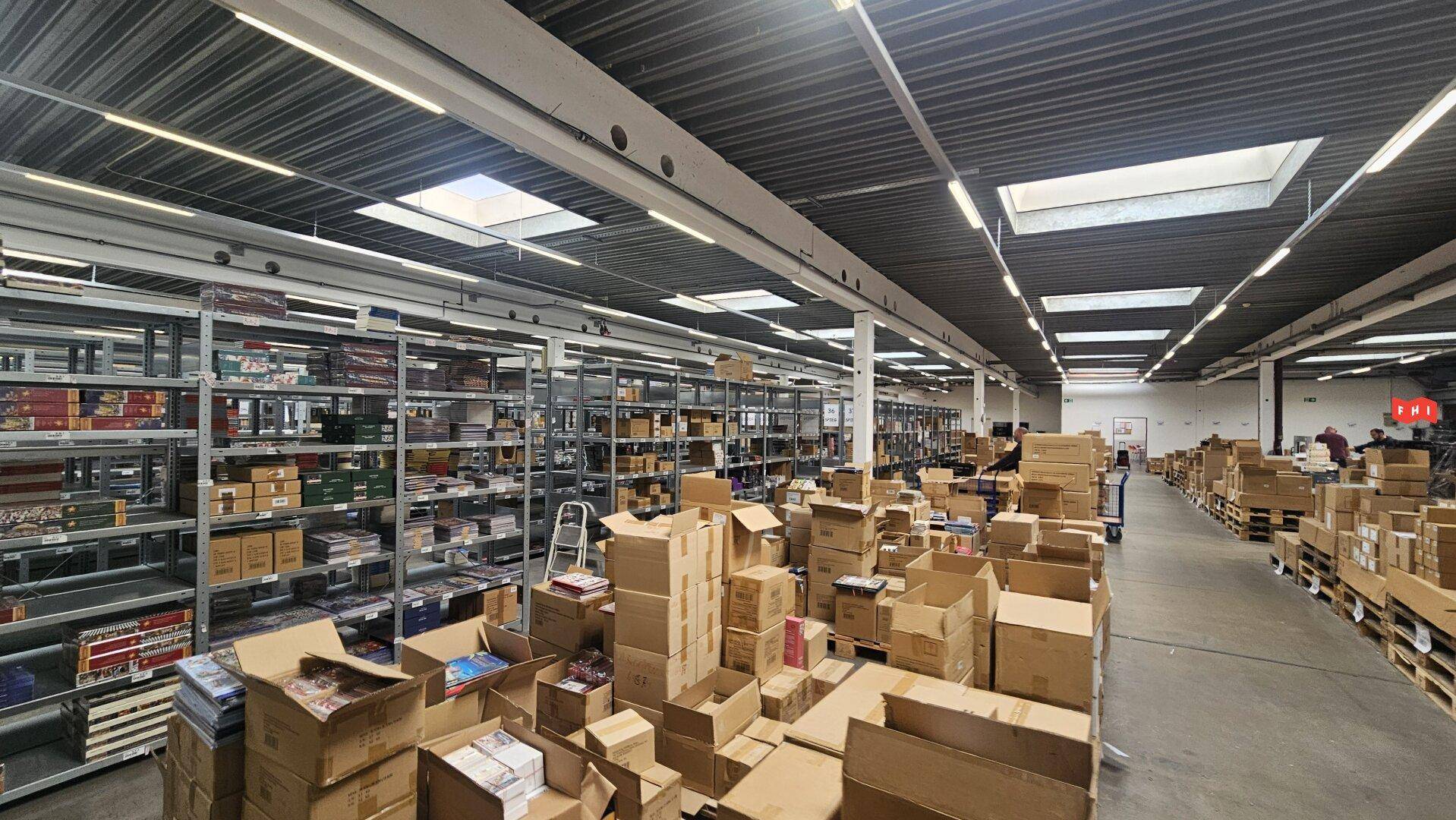 Große Lagerhalle gefüllt mit Kartons auf Paletten und Regalen, mit Betonboden und Oberlichtern für Helligkeit.