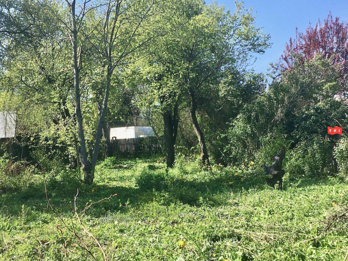 Weitläufige Grünfläche mit mehreren Bäumen und viel natürlicher Vegetation.