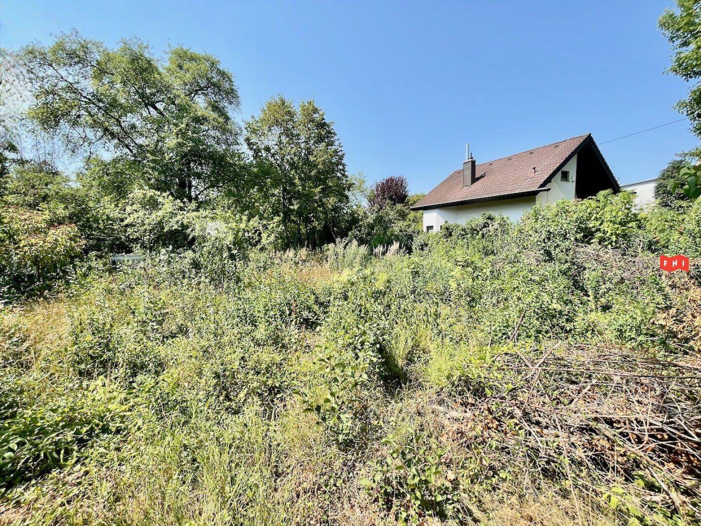 Überwuchertes Grundstück mit einem Wohnhaus im Hintergrund unter blauem Himmel.