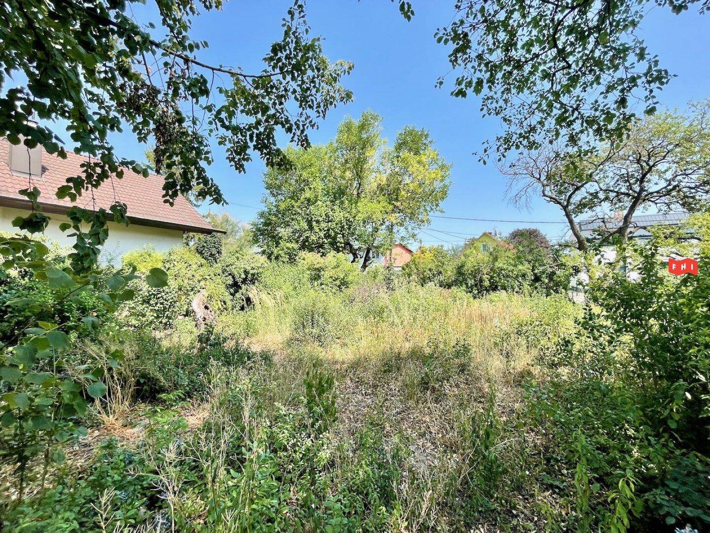 Überwuchertes Grundstück mit einem Wohnhaus auf der linken Seite und viel Grün.