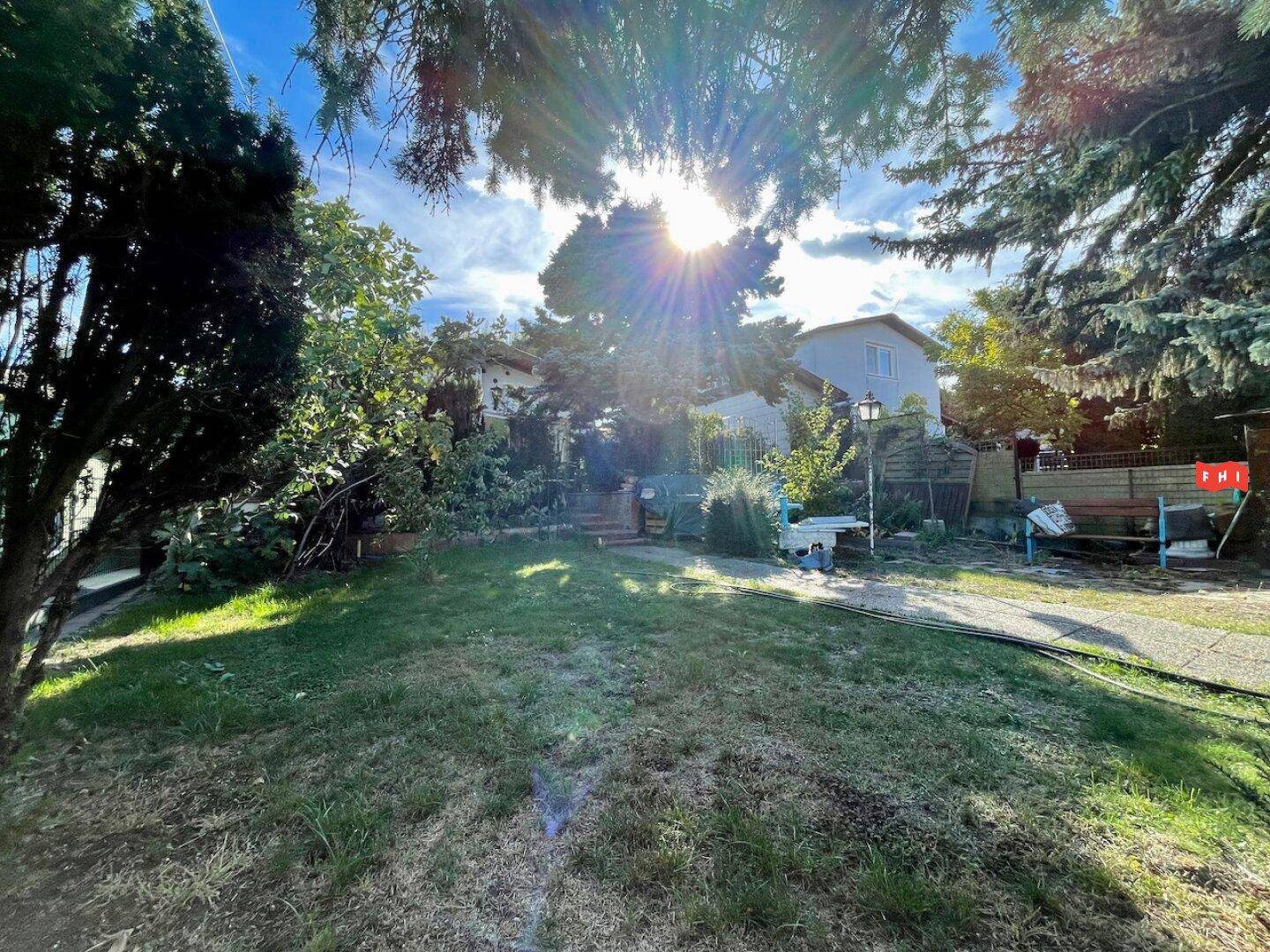 Sonniger Gartenbereich mit Rasenfläche und Bäumen, die Schatten spenden, unter blauem Himmel.