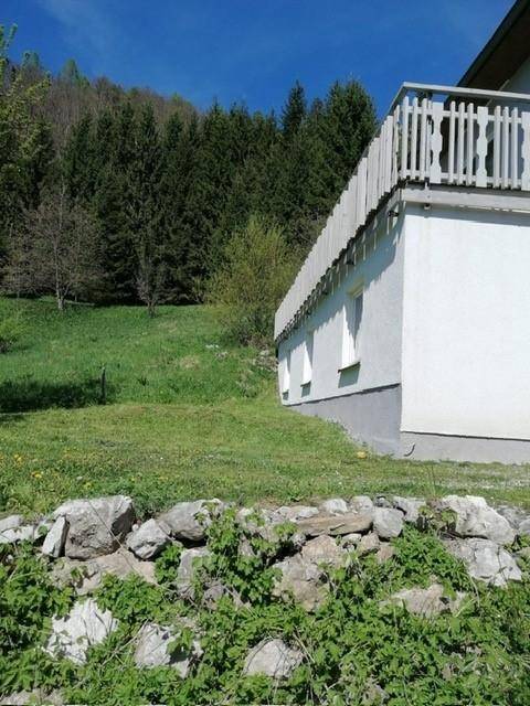 Seitenansicht des Hauses mit grüner Wiese und Wald im Hintergrund an einem sonnigen Tag.