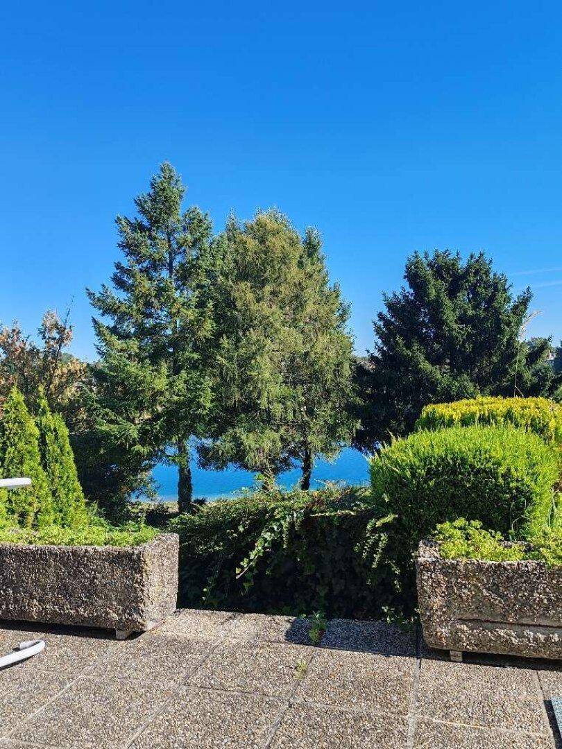 Blick von der Terrasse auf üppige Bäume und den glitzernden See unter blauem Himmel.