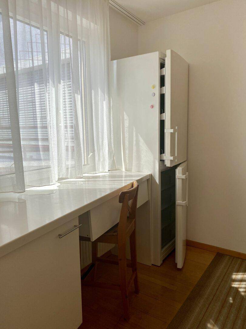 Kleine Küchenzeile mit Kühlschrank und Arbeitsplatte am Fenster, ideal für Frühstück.