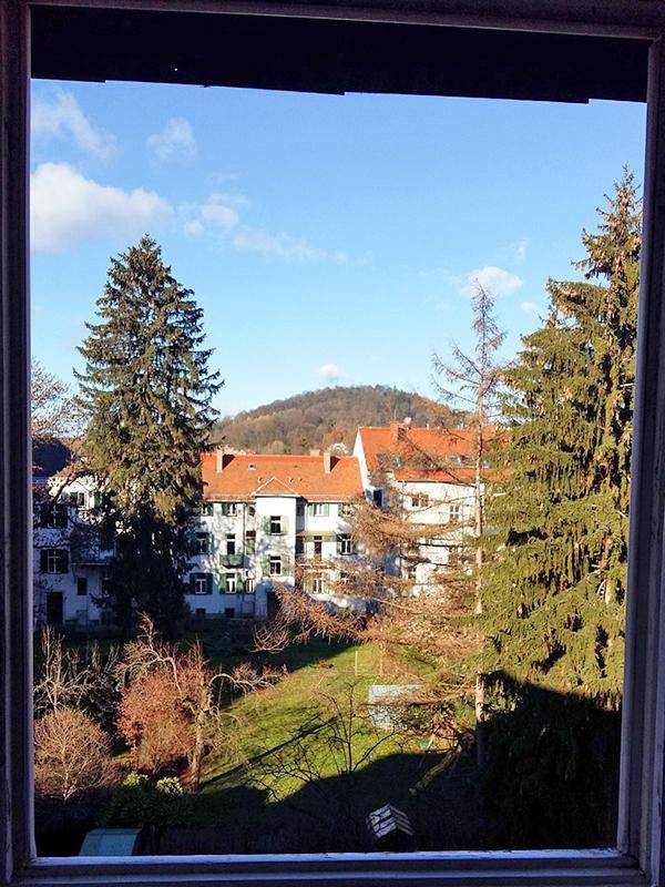 Fensterblick