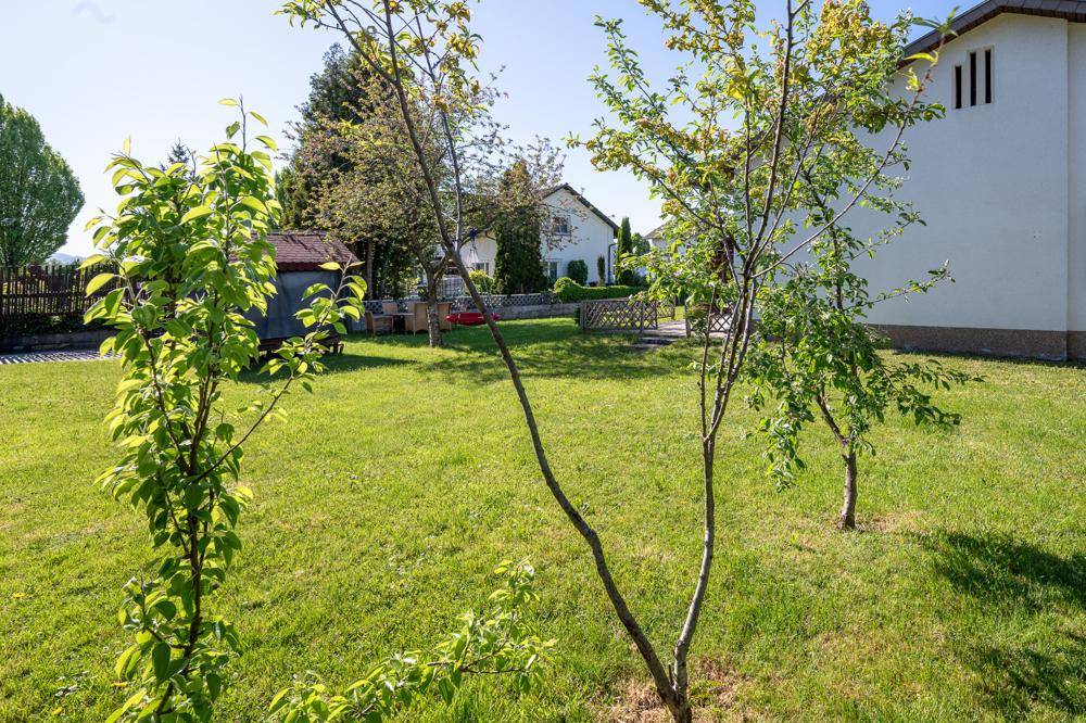 Grüner Garten mit jungen Bäumen und Blick auf das Wohnhaus im Hintergrund.