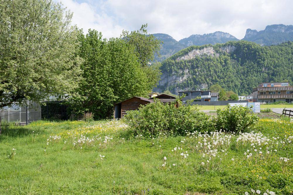 Naturbelassene Wiesenfläche mit einem kleinen Holzschuppen und beeindruckendem Bergpanorama im Hintergrund.