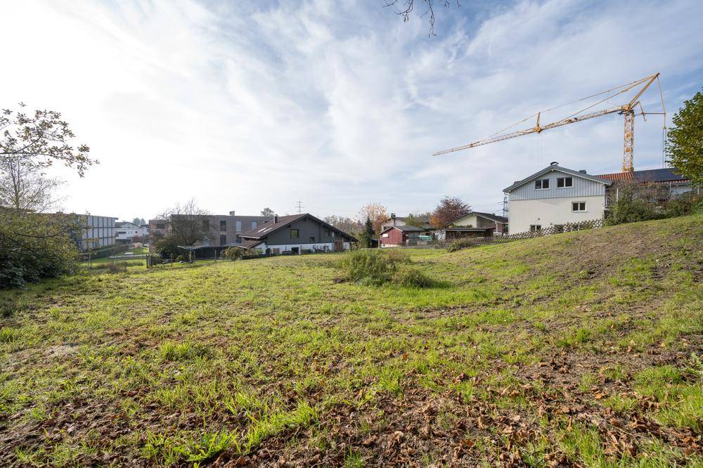 Grundstück mit Wiese, umgeben von Wohnhäusern und einem Baukran im Hintergrund unter bewölktem Himmel.