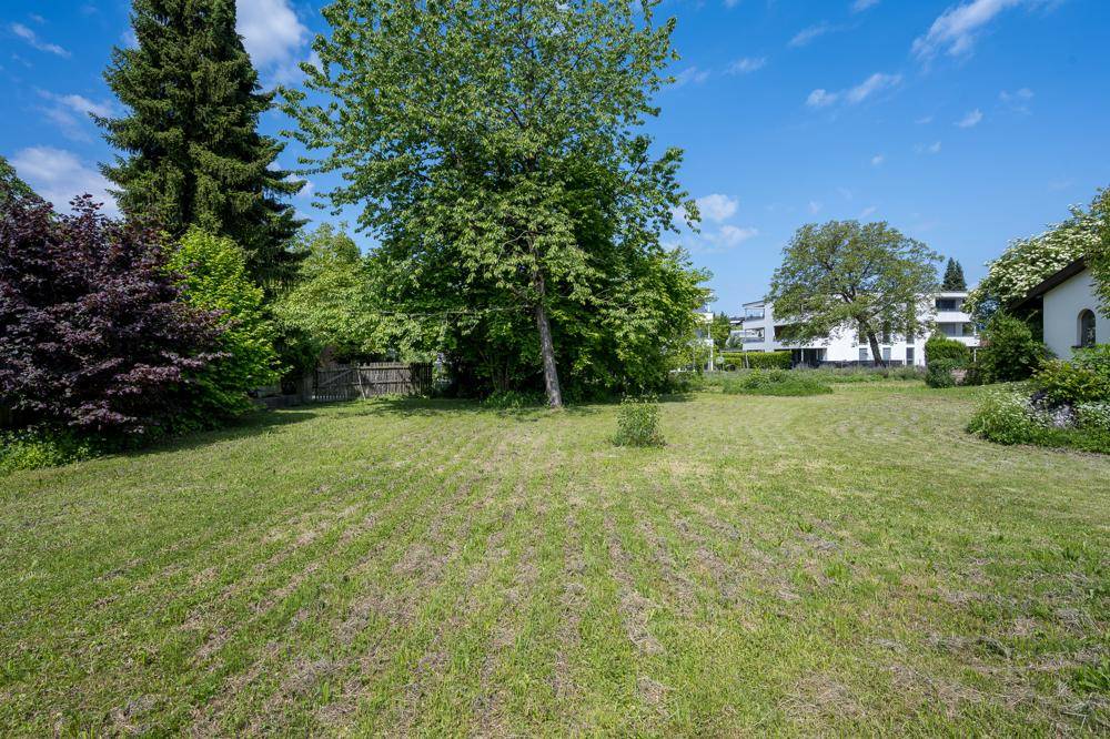 Weitläufige Grünfläche mit altem Baumbestand und Blick auf umliegende Gebäude.