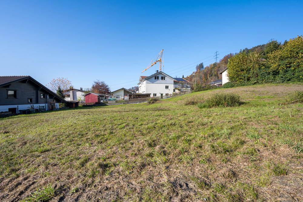 Wiesengrundstück mit angrenzenden Häusern und einem Baukran vor bewaldetem Hang unter blauem Himmel.