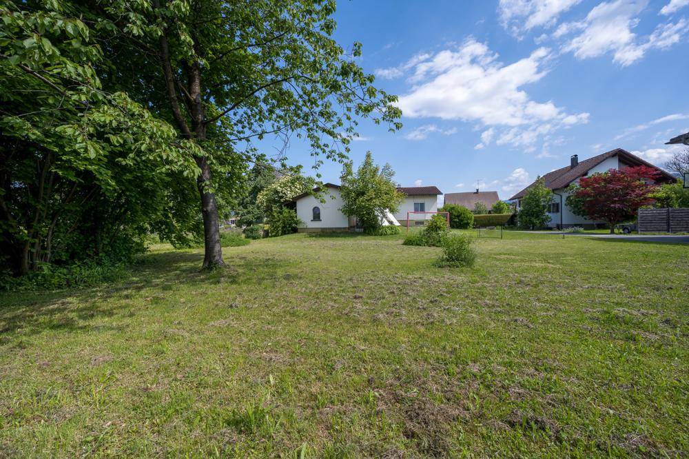 Offene Rasenfläche mit Bäumen und einem kleinen Haus im Hintergrund unter hellem Himmel.