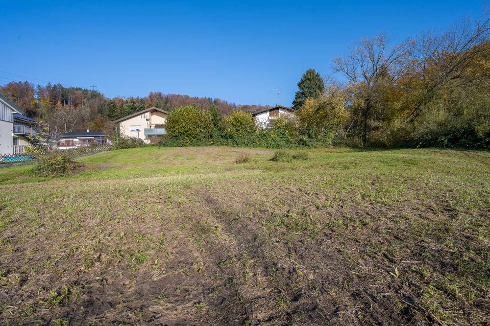 Offenes Wiesengrundstück mit vereinzelten Bäumen und Häusern im Hintergrund unter blauem Himmel.