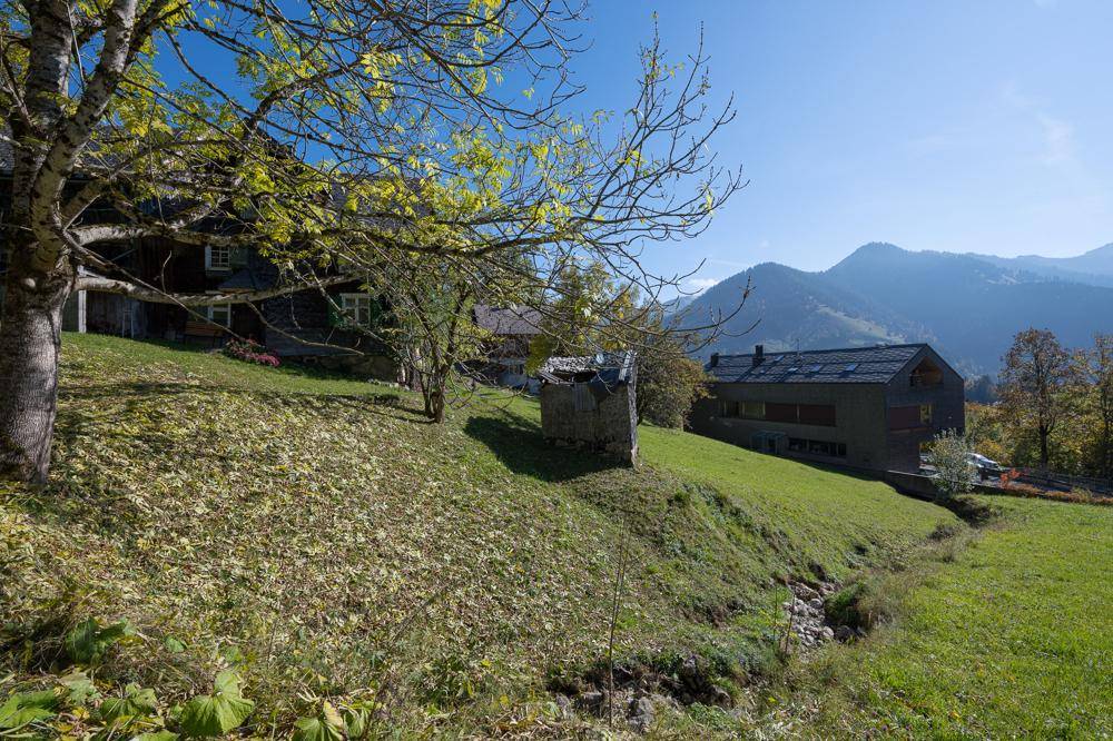 Hanglage mit alten Bäumen, einer Steinruine und einem modernen Gebäude, umgeben von grüner Natur und Bergen.